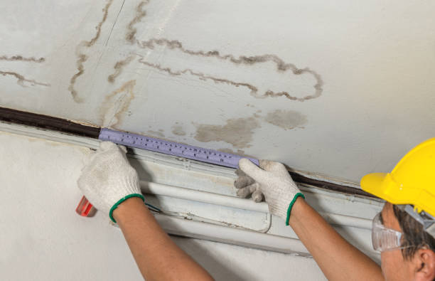 Affordable Water Damage Repair solutions in Winfred, SD